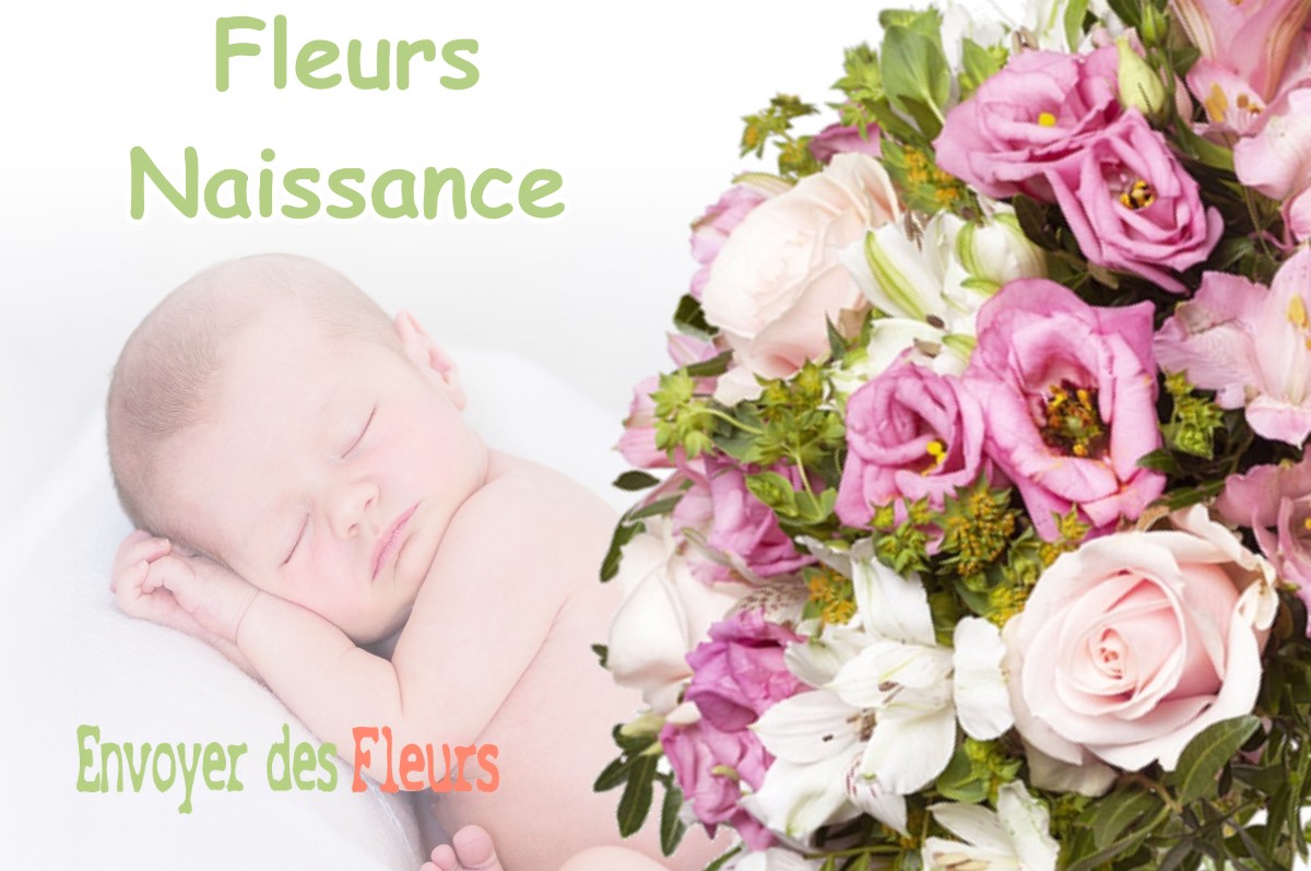 lIVRAISON FLEURS NAISSANCE à BEFFIA